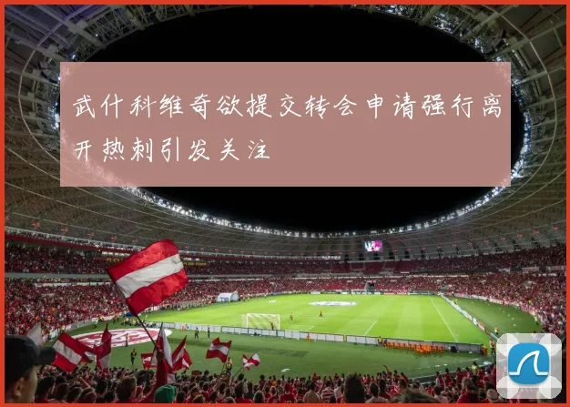 武什科维奇欲提交转会申请强行离开热刺引发关注